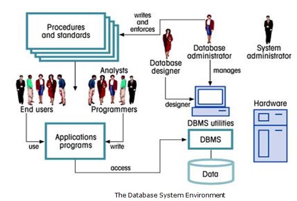 Components of Database Systems